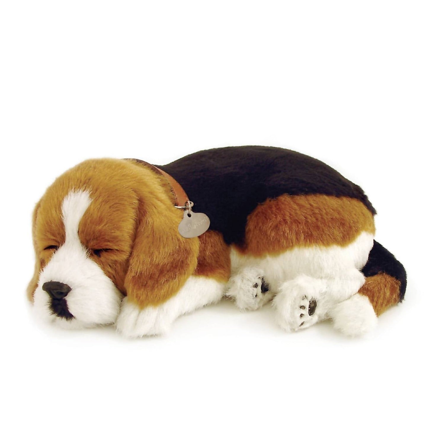 Beagle-Atmung Haustier