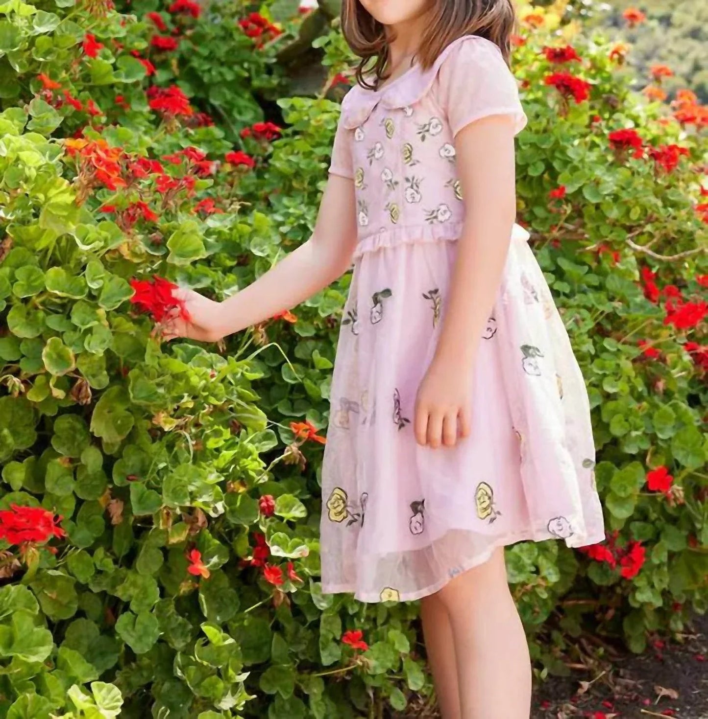 Kleid mit Rosenstickerei am Kragen