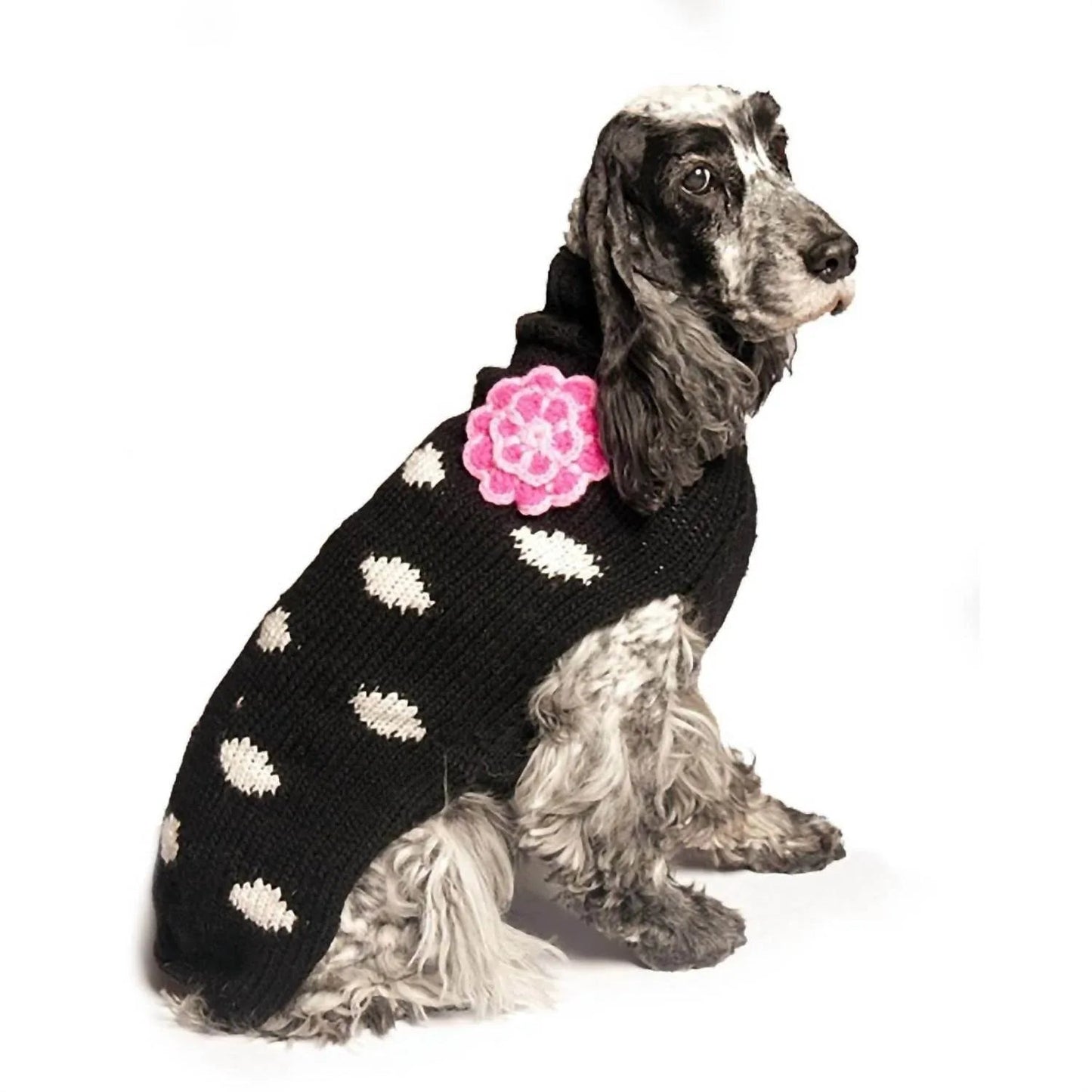 Polka Dot Dog Sweater
