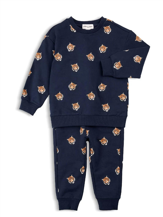 Boy's Long Sleeve Sweatshirt And Pant Set