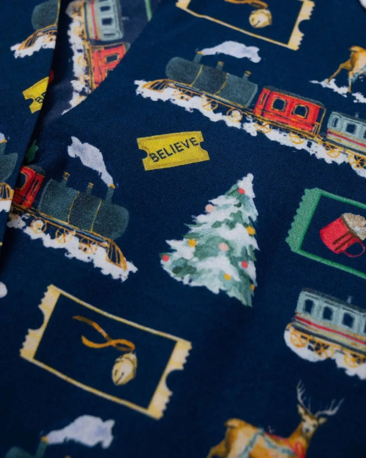 Boy's Polar Express Button Down Pajama Set