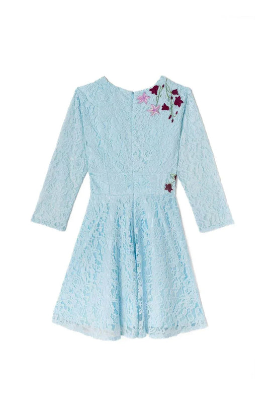 Women's Embroidery Lace Dress