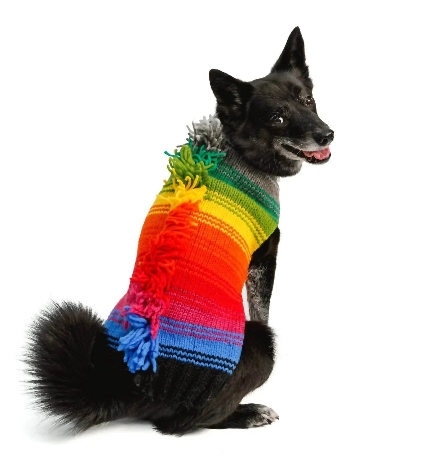 Regenbogen-Irokesen-Hundepullover