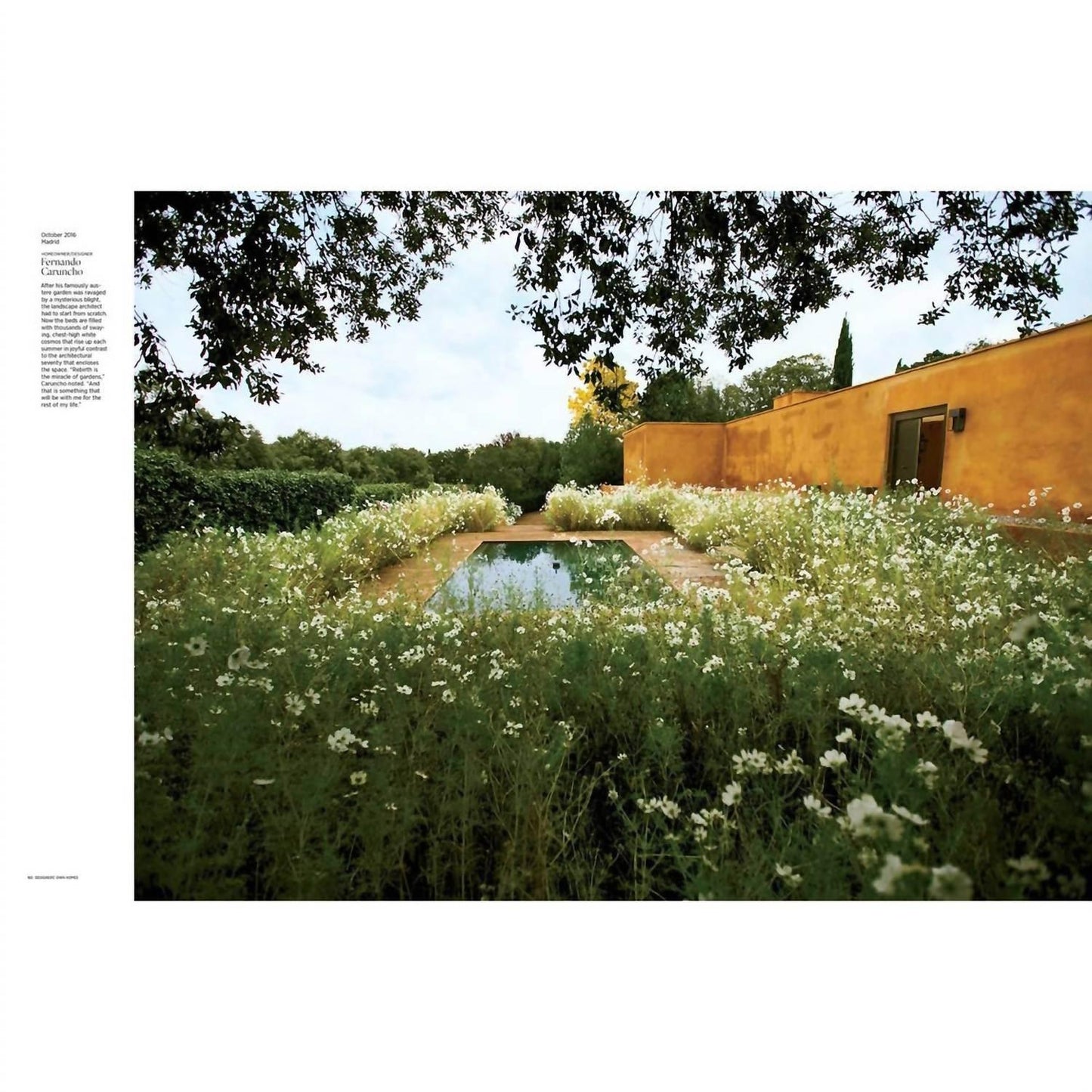 Architectural Digest At 100 A Century Of Style Book