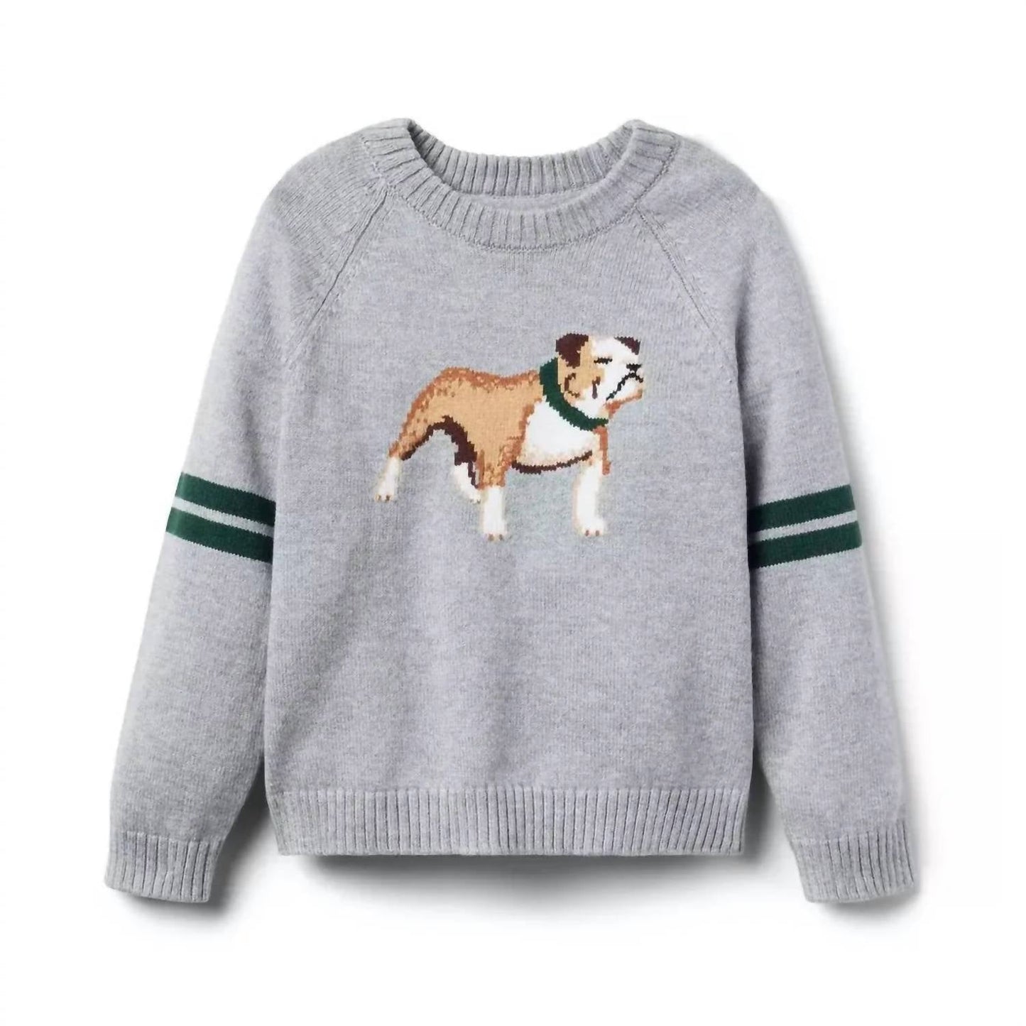 Jungen-Intarsienpullover mit Hundemotiv