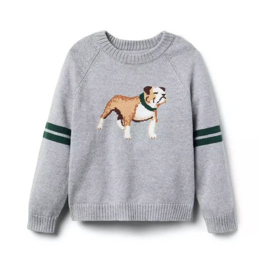 Boy's Dog Intarsia Sweater