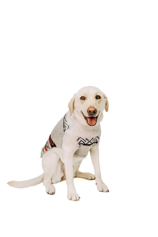 Bunny Patrol Dog Sweater