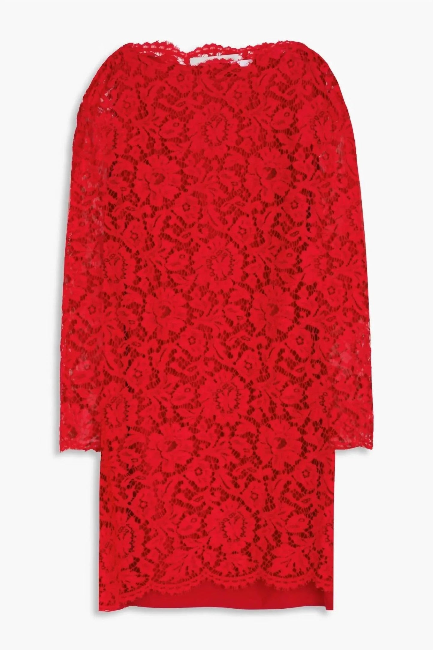 Corded Lace Mini Dress