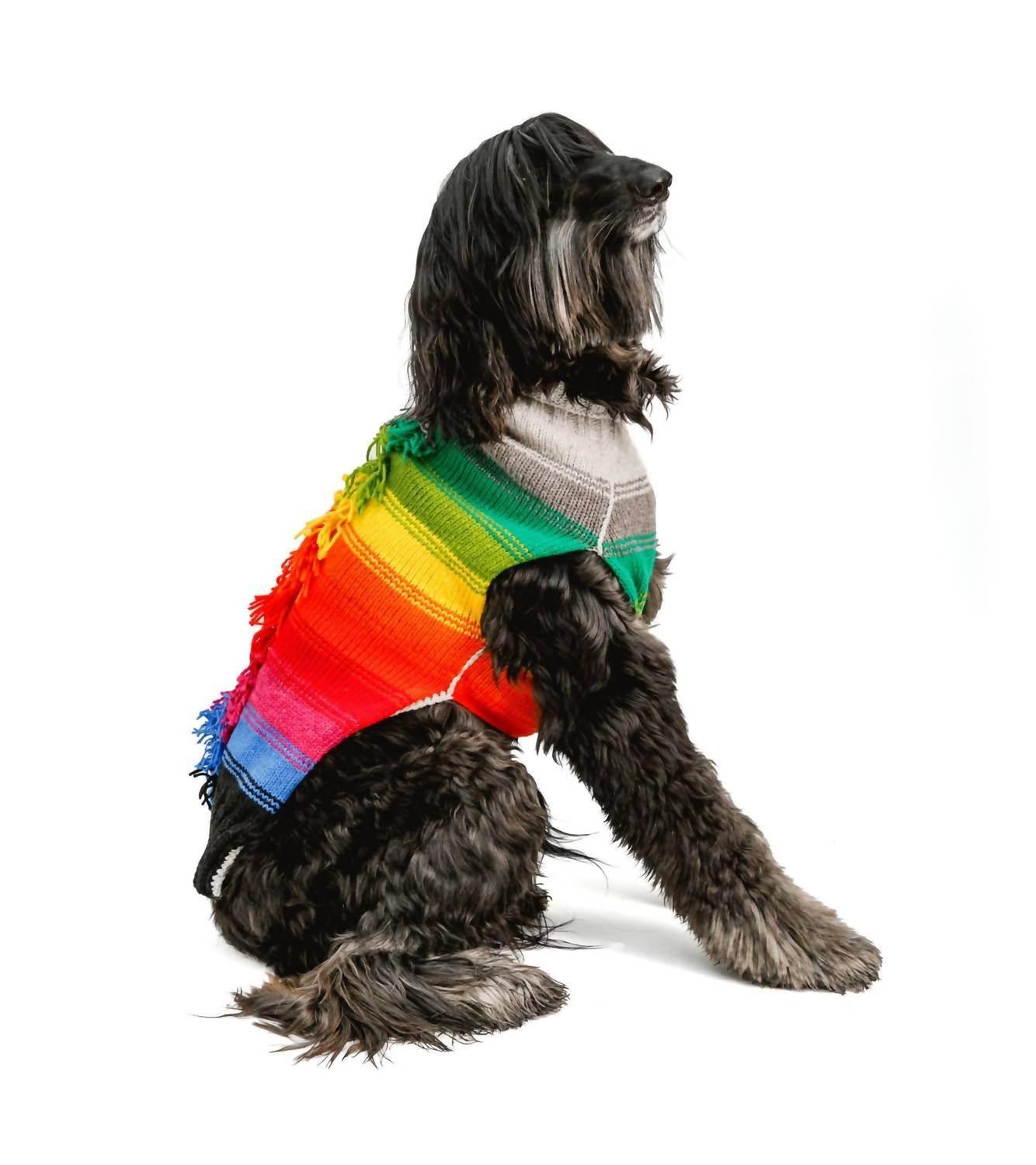 Regenbogen-Irokesen-Hundepullover