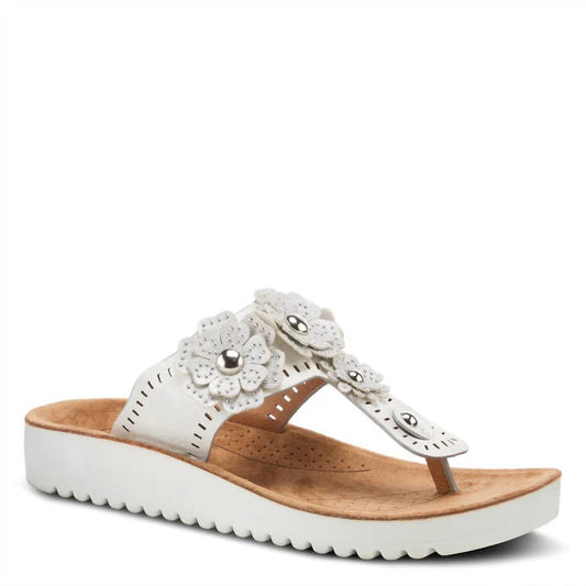 Damen-Zehensteg-Sandalen Bayview