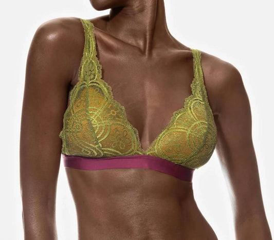 Triangel-BH – Plus