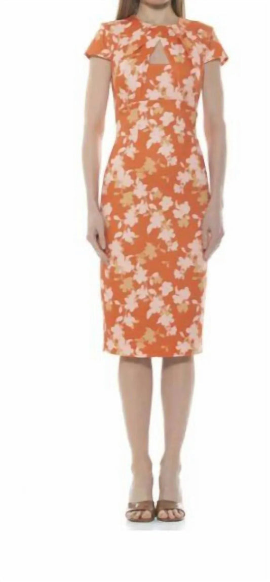 Janine Dress