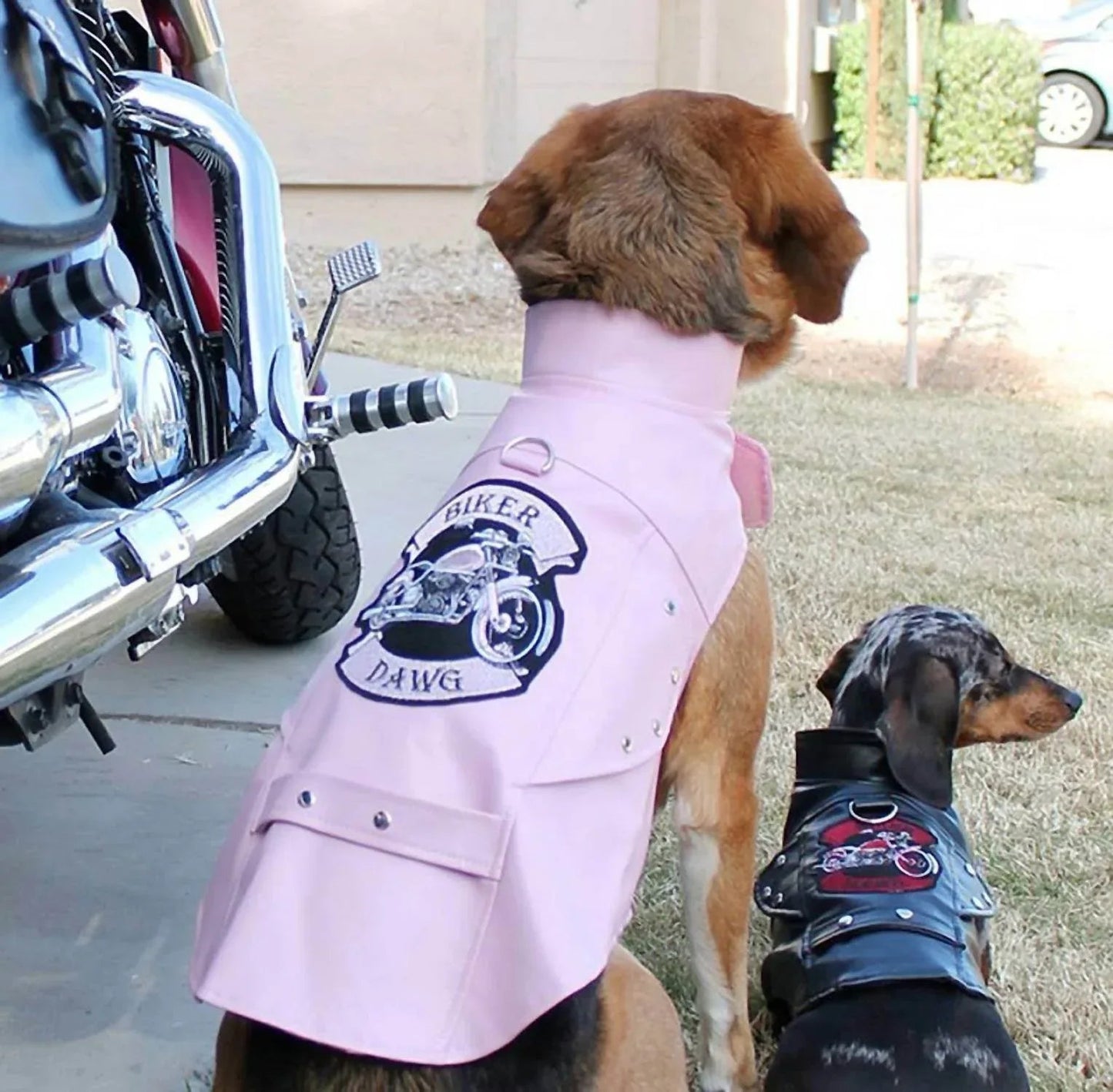 BIKER DAWG HUNDEJACKE