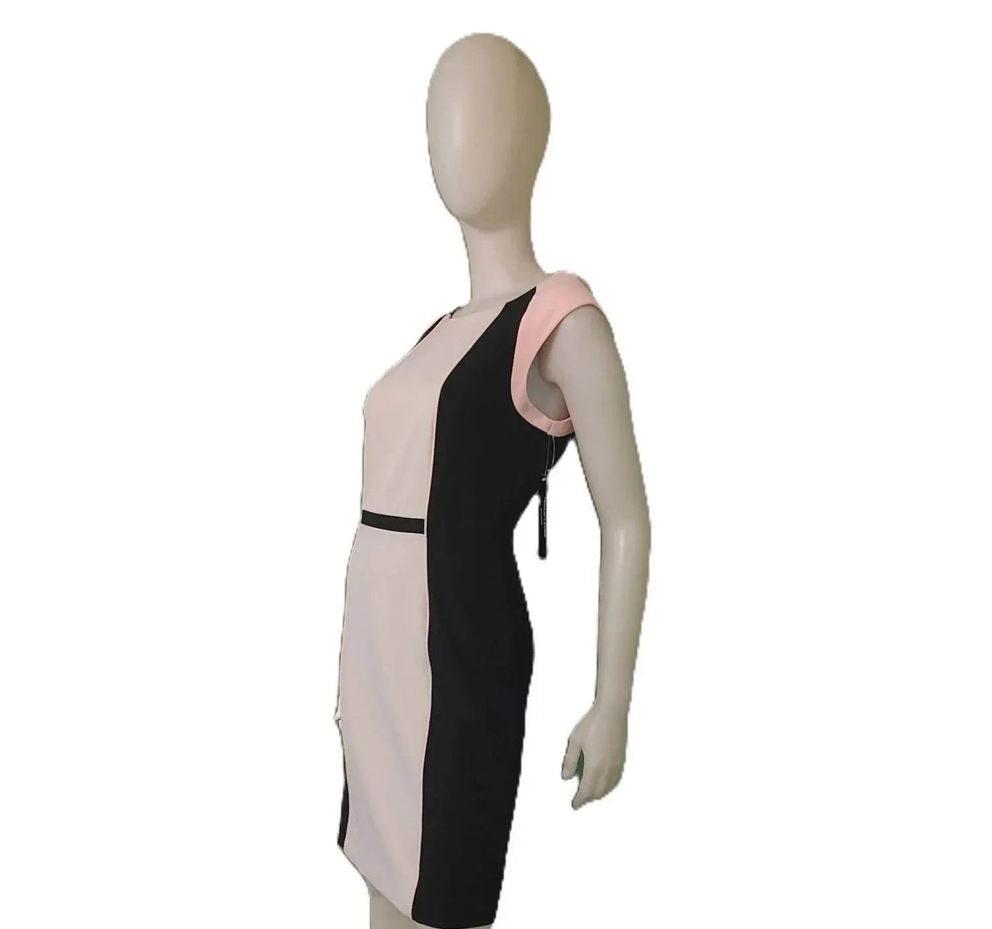 Sleeveless Sheath Dress
