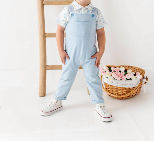 Boys' Bunny Toile Distressed Overall Set