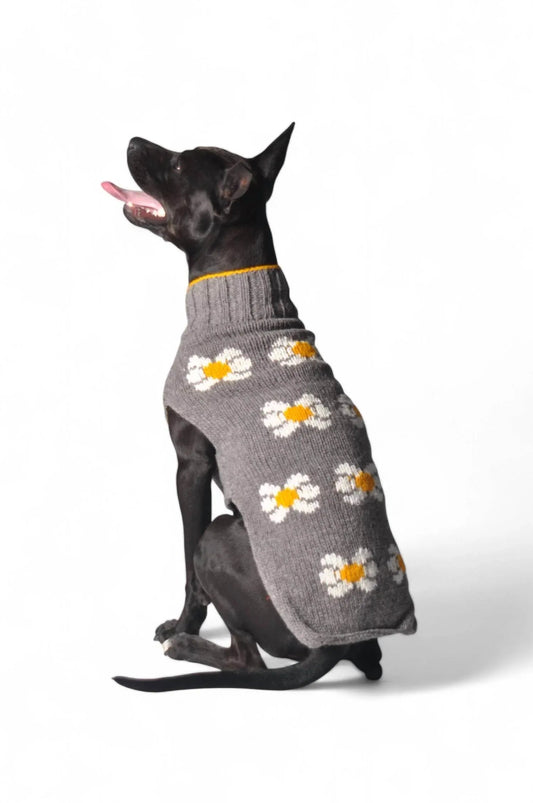 Daisy Dog Sweater