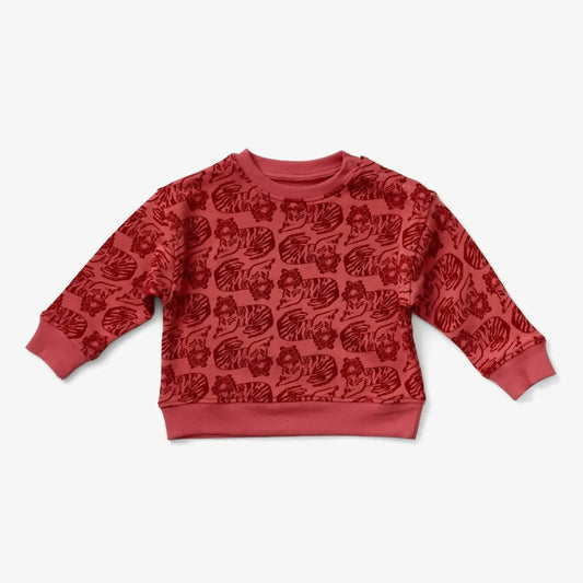 Boy's Print Organic Cotton Sweatshirt