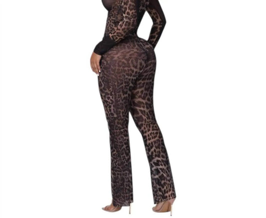 Wild Intensions Netz-Set