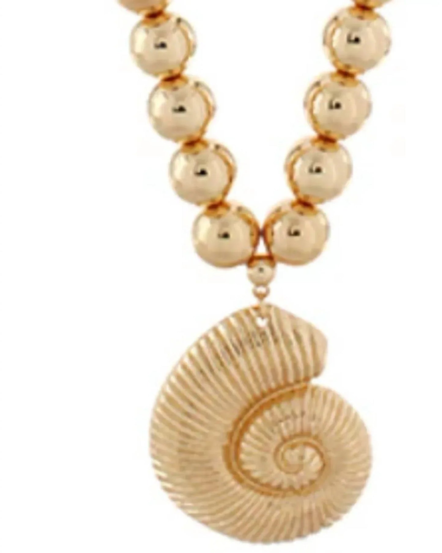 Women's Sea Shell Necklace