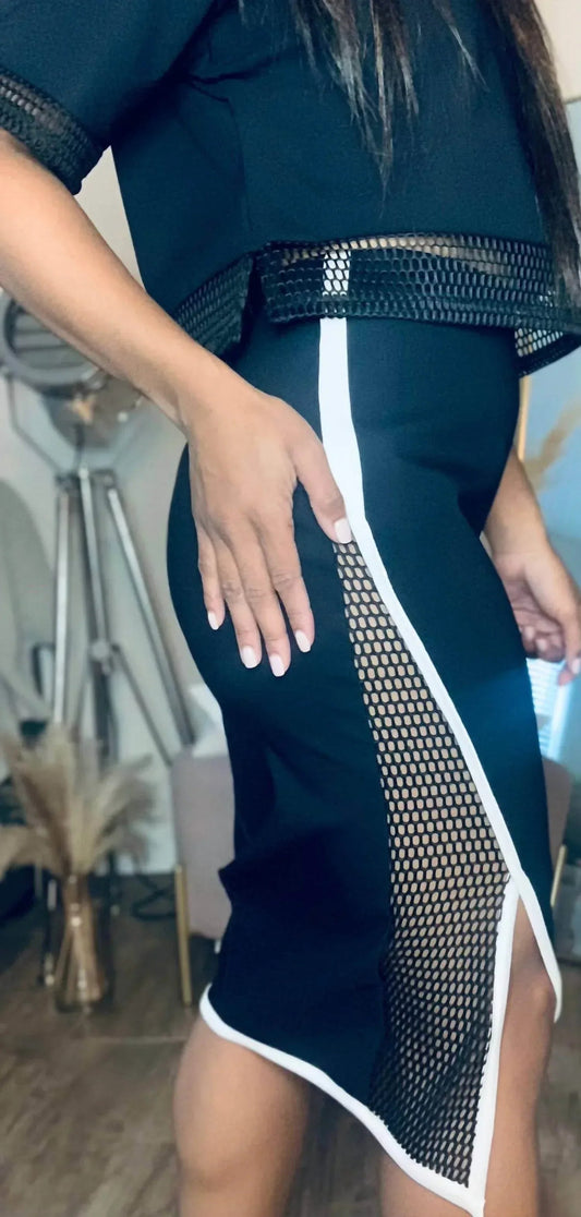 Eden Mesh Skirt Set