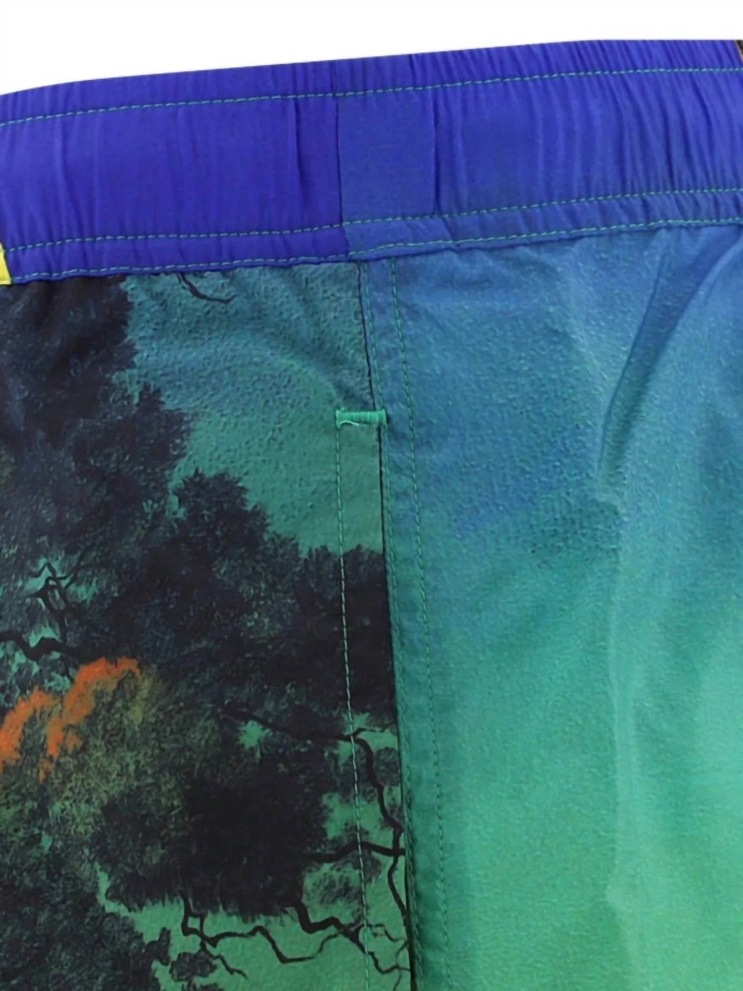Badeshorts für Herren mit „Dragon At Dawn“-Print