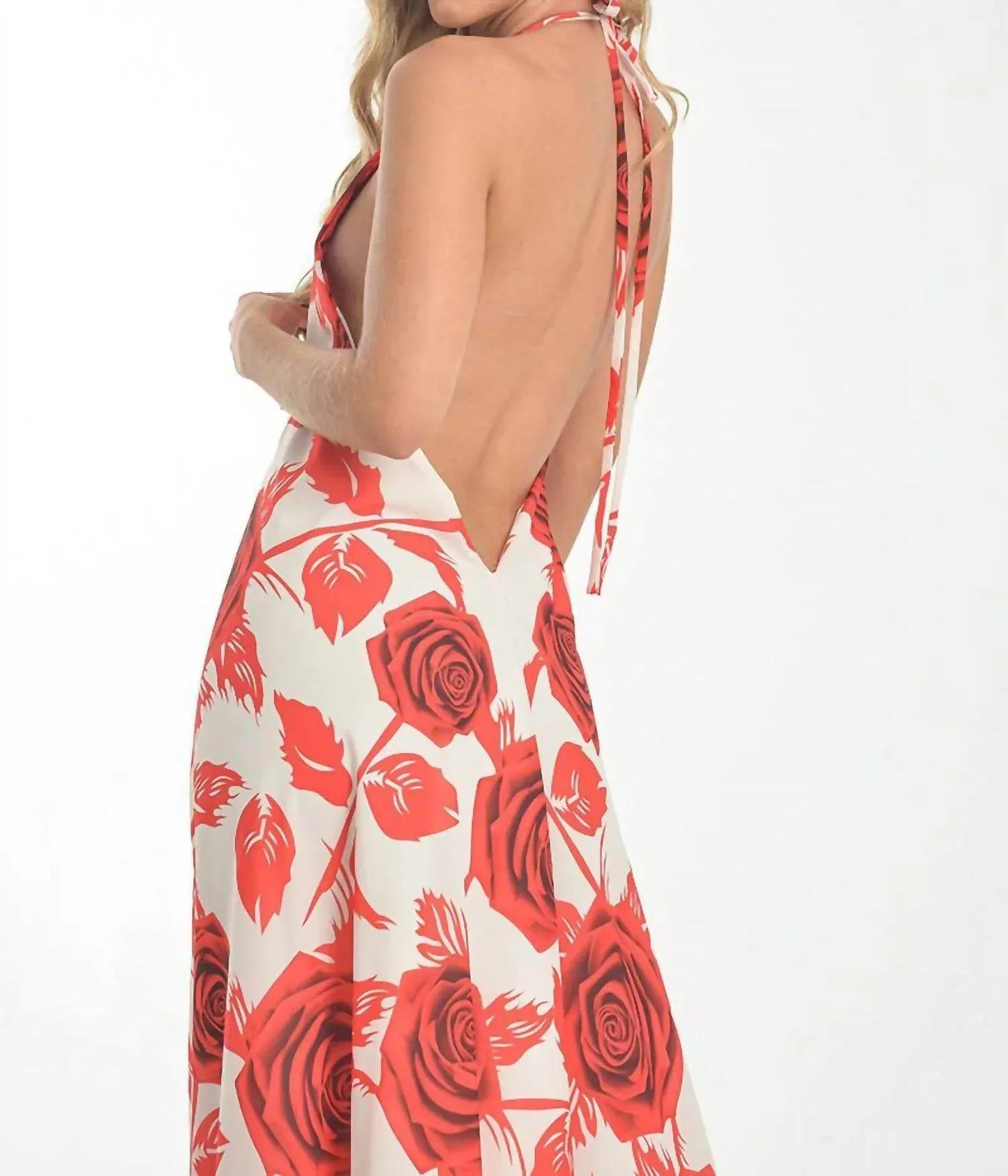 Romantic Rose Print Dress