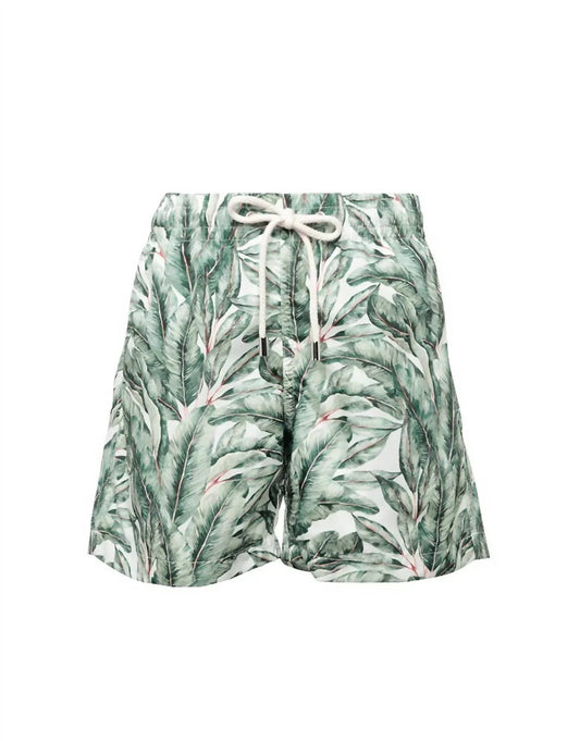 Boy's Printed Swim Shorts