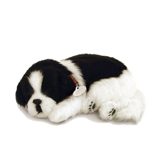 Border Collie Breathing Pet