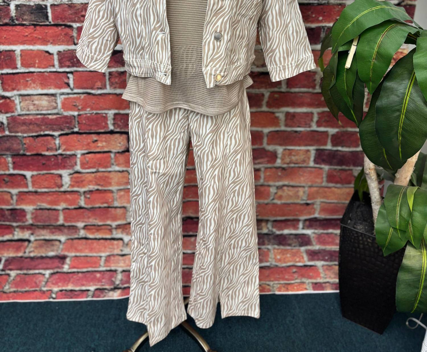 Women's Savanna Breeze Jacket