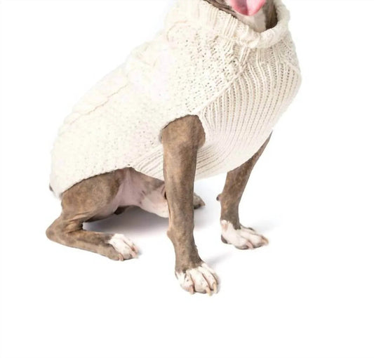 Cable Knit Dog Sweater