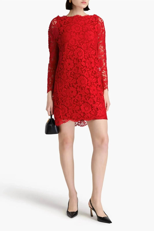 Corded Lace Mini Dress