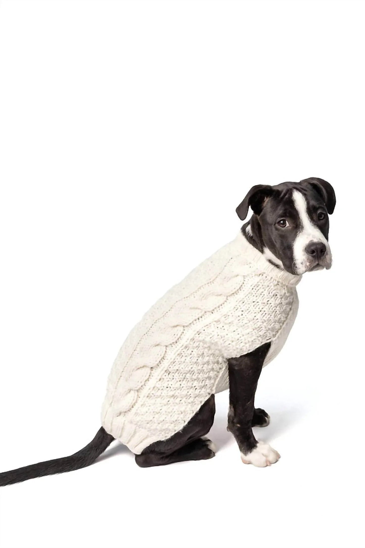 Hundepullover mit Zopfmuster