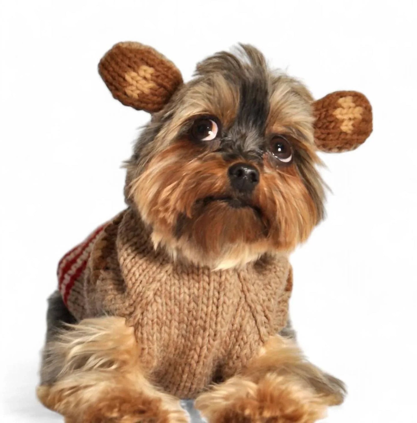 Hundepullover Äffchen